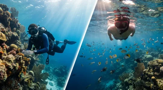 Plongeur avec équipement complet et snorkeler avec masque côte à côte sous l'eau
