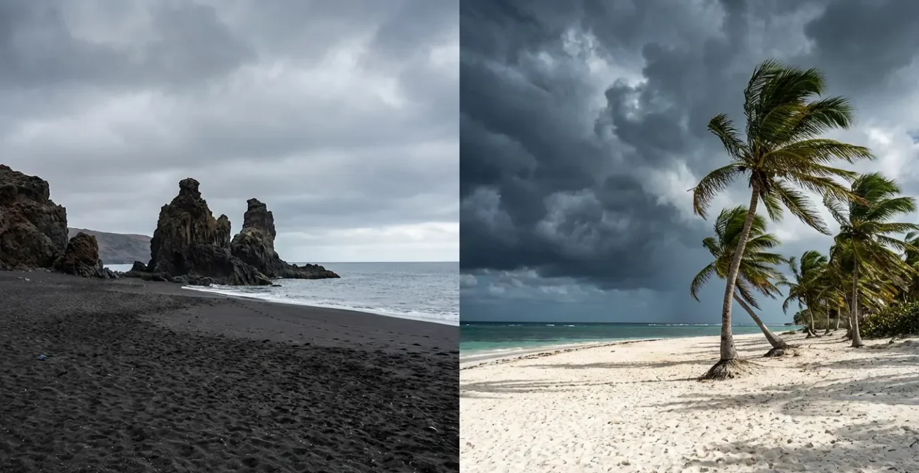 Contraste visuel entre plage ensoleillée des Canaries avec formations volcaniques et plage tropicale des Caraïbes avec palmiers