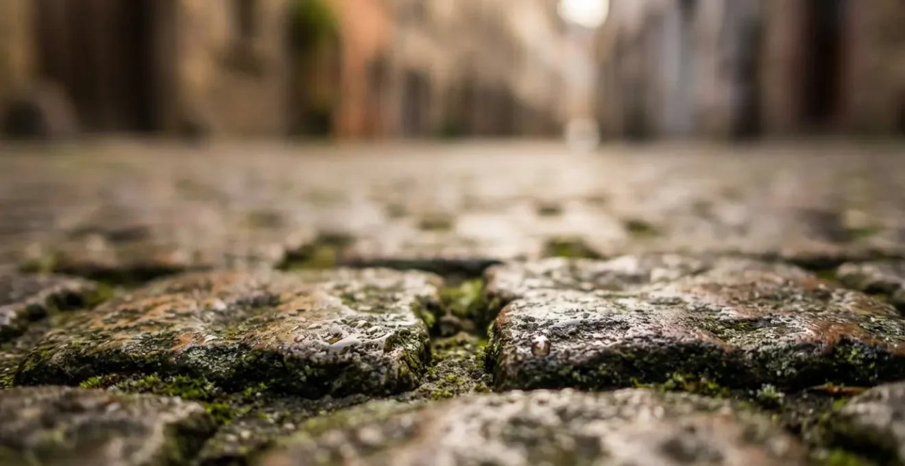 Voyageur explorant une ruelle pittoresque d'une ville européenne secondaire avec architecture historique préservée